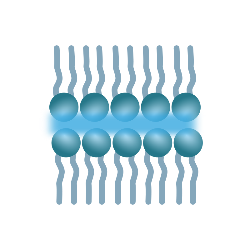 Hypogen Schaubild LLS System