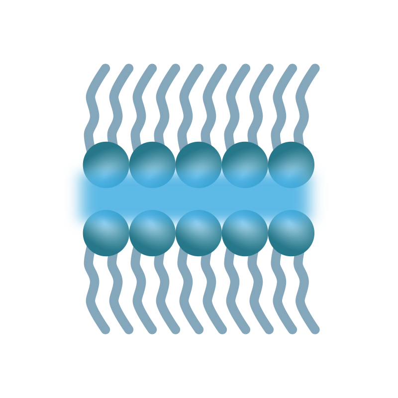 Hypogen Schaubild sublevactum Formel