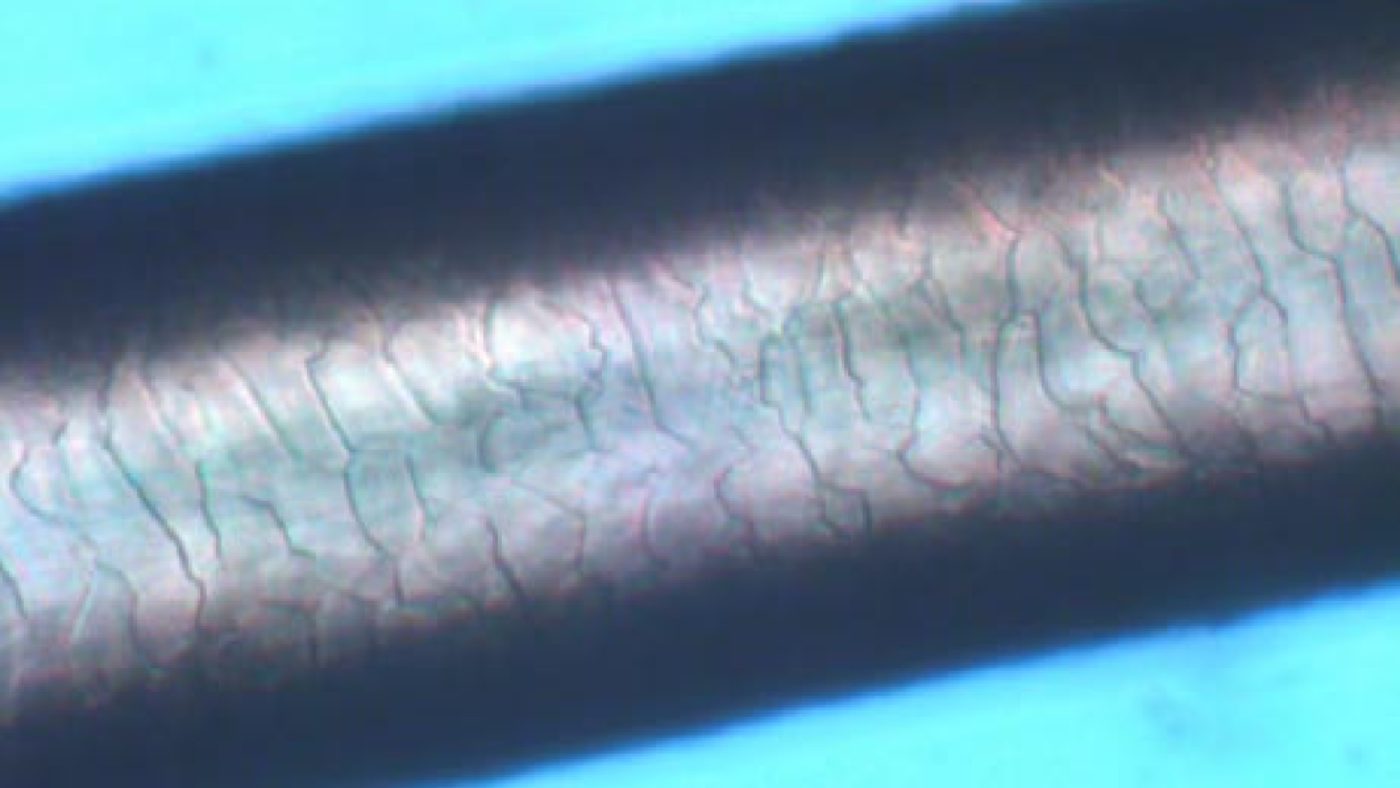 Mit_HYPOGEN_CARE_Aftershave-Balm_nachbehandeltes_Barthaar